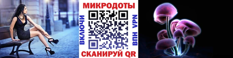 Псилоцибиновые грибы Psilocybe магазин продажи Шарья